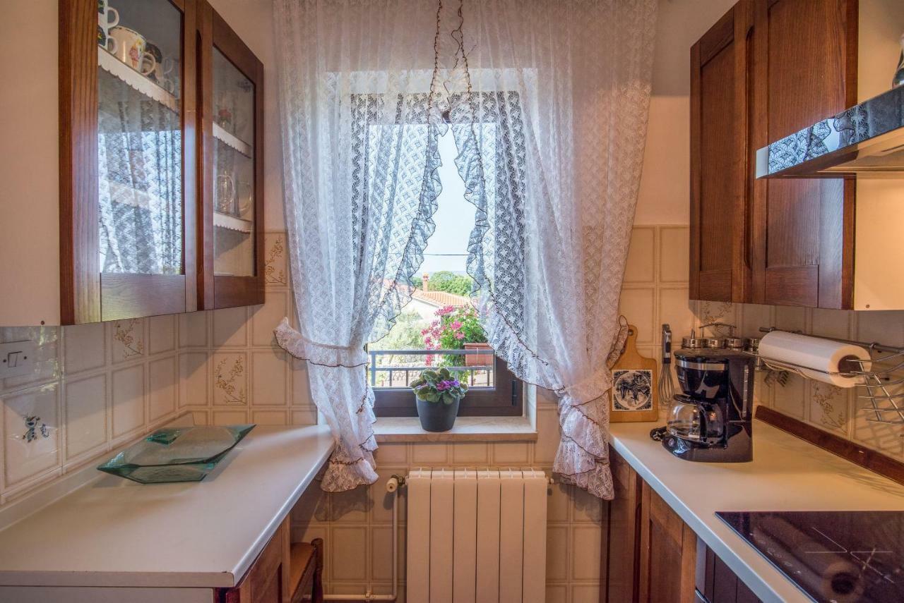 Apartman Ana Bajcici المظهر الخارجي الصورة